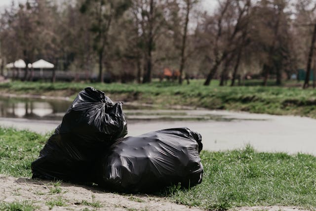 Garbage Bags on Grass
