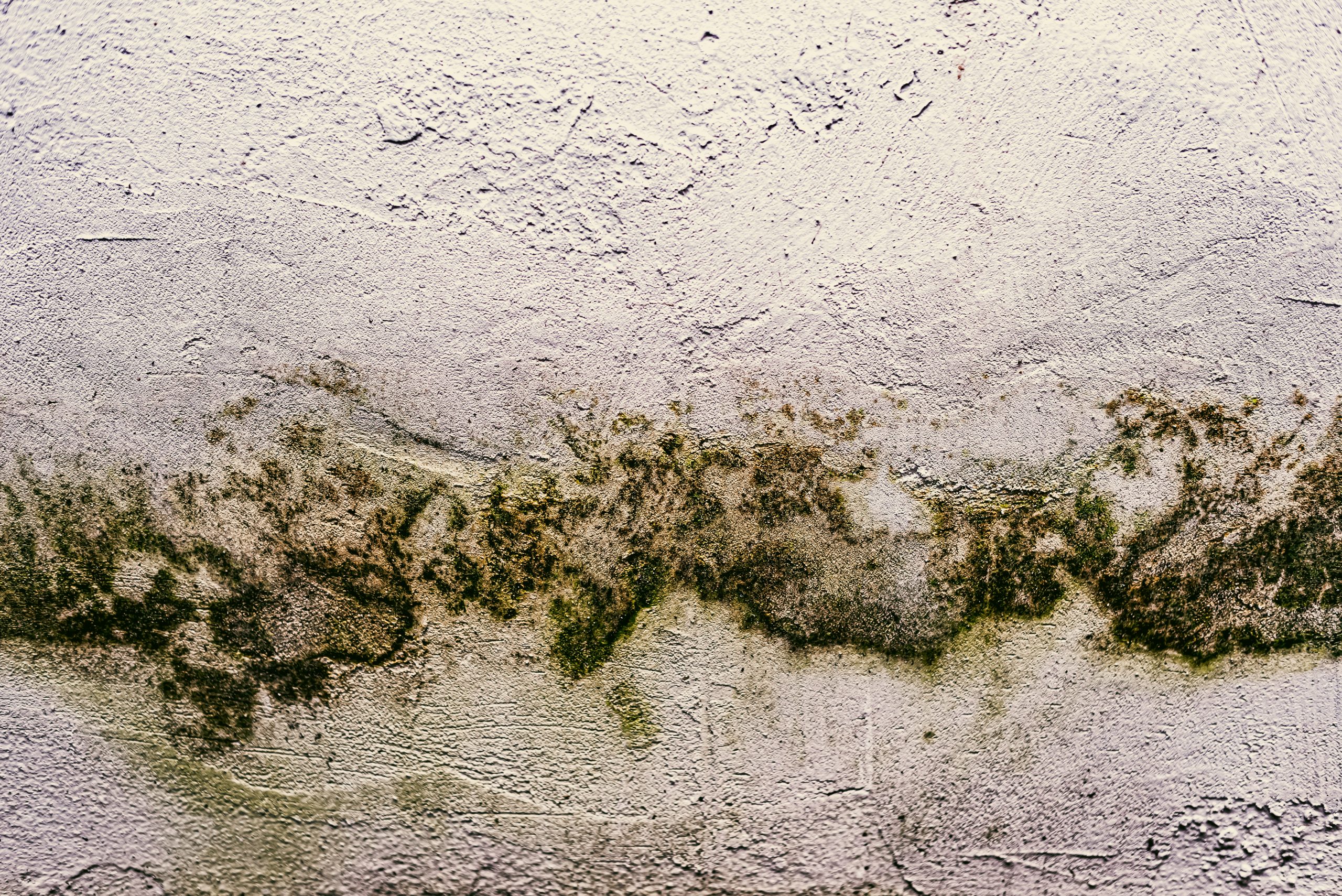 water damaged wall